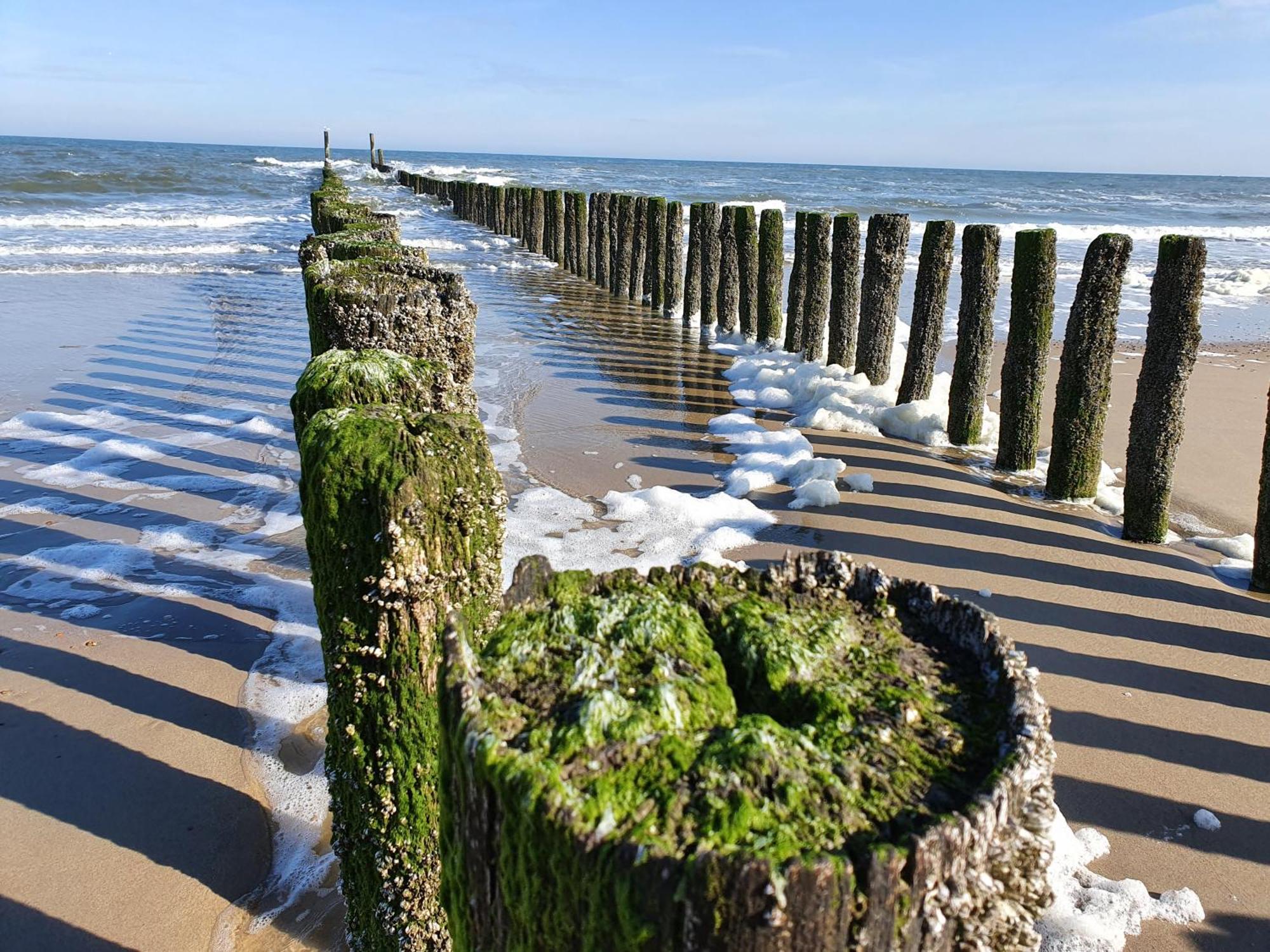 Studio Aan Zee أوستكابيلي الغرفة الصورة