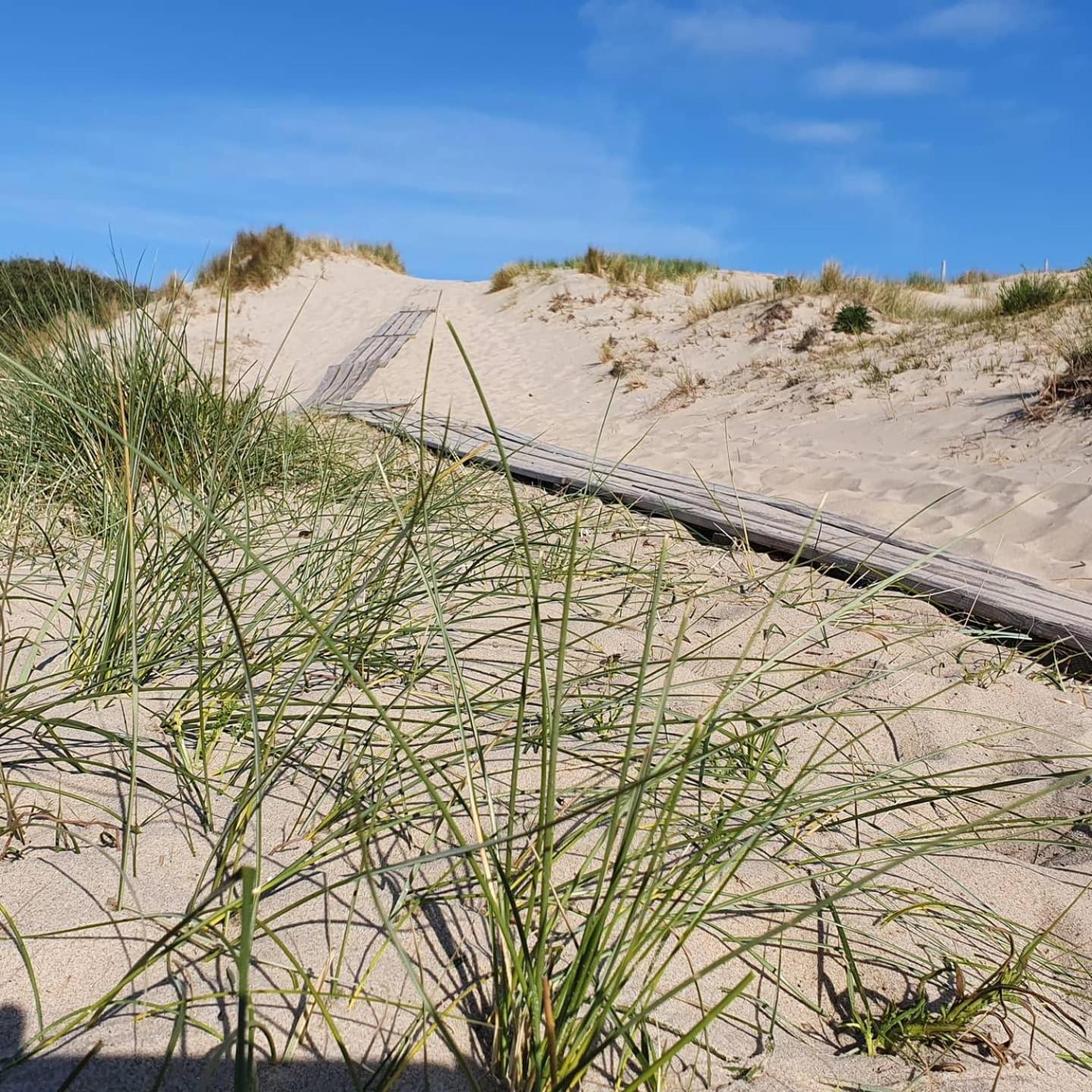 Studio Aan Zee أوستكابيلي الغرفة الصورة