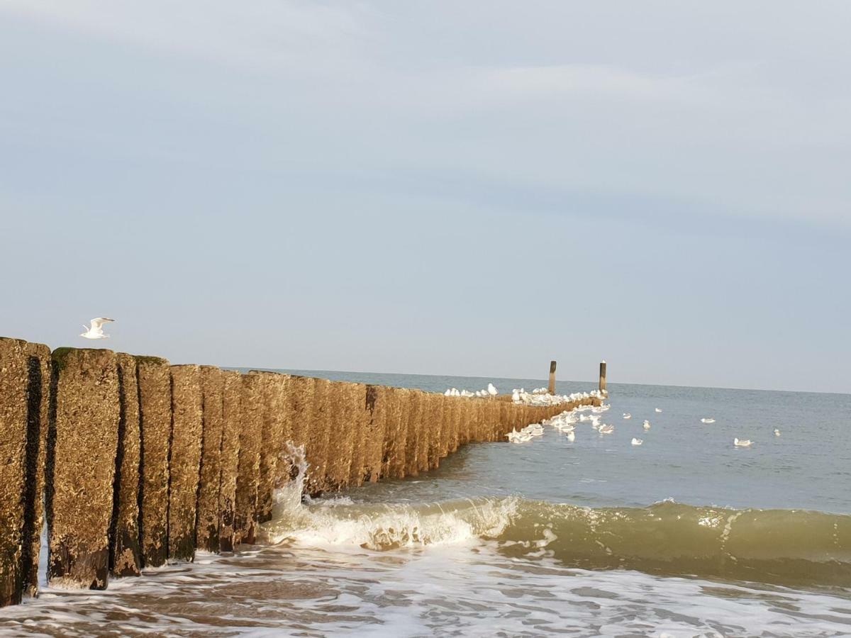 Studio Aan Zee أوستكابيلي المظهر الخارجي الصورة